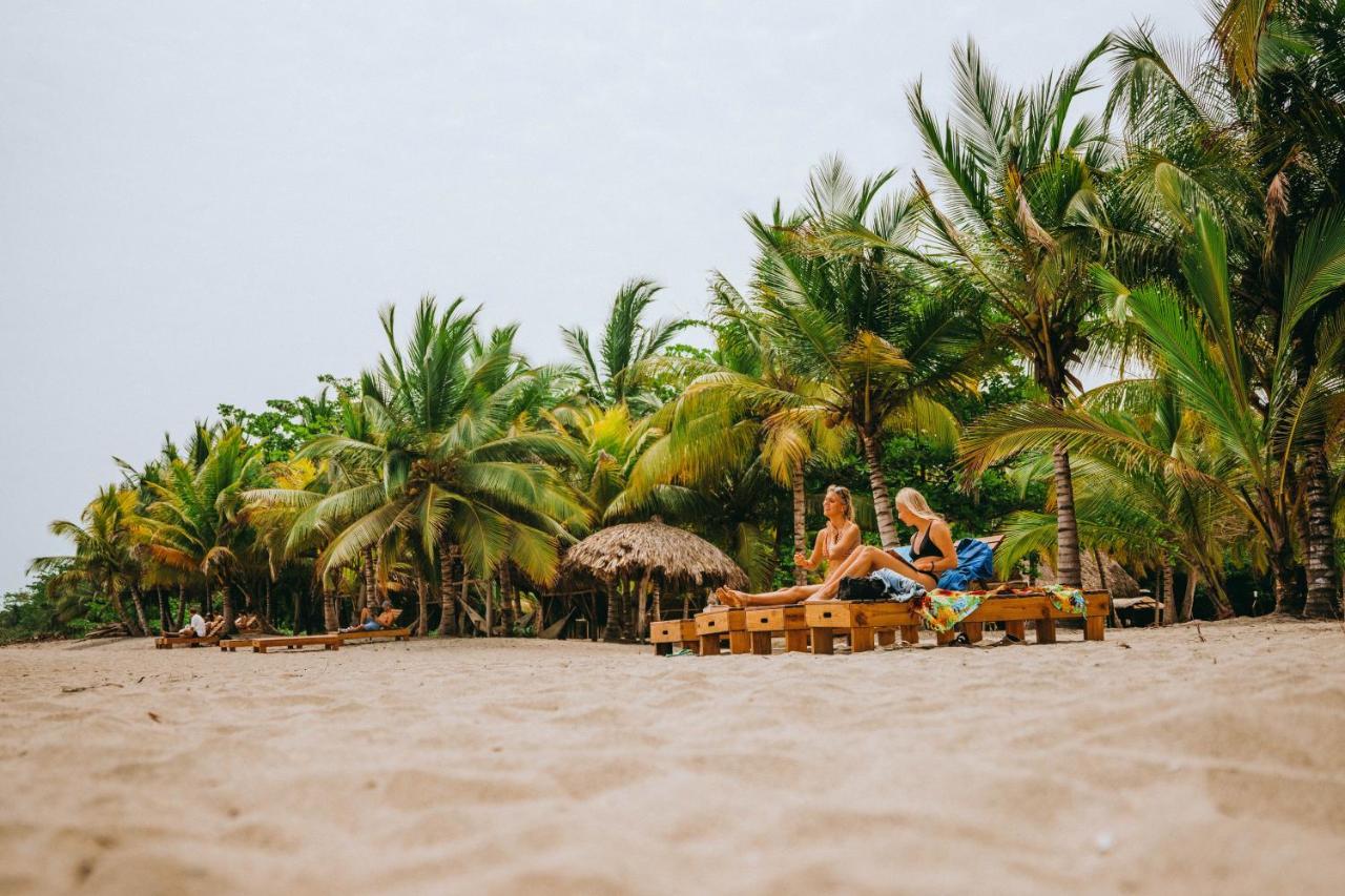Viajero Tayrona Hostel & Ecohabs Buritaca Extérieur photo