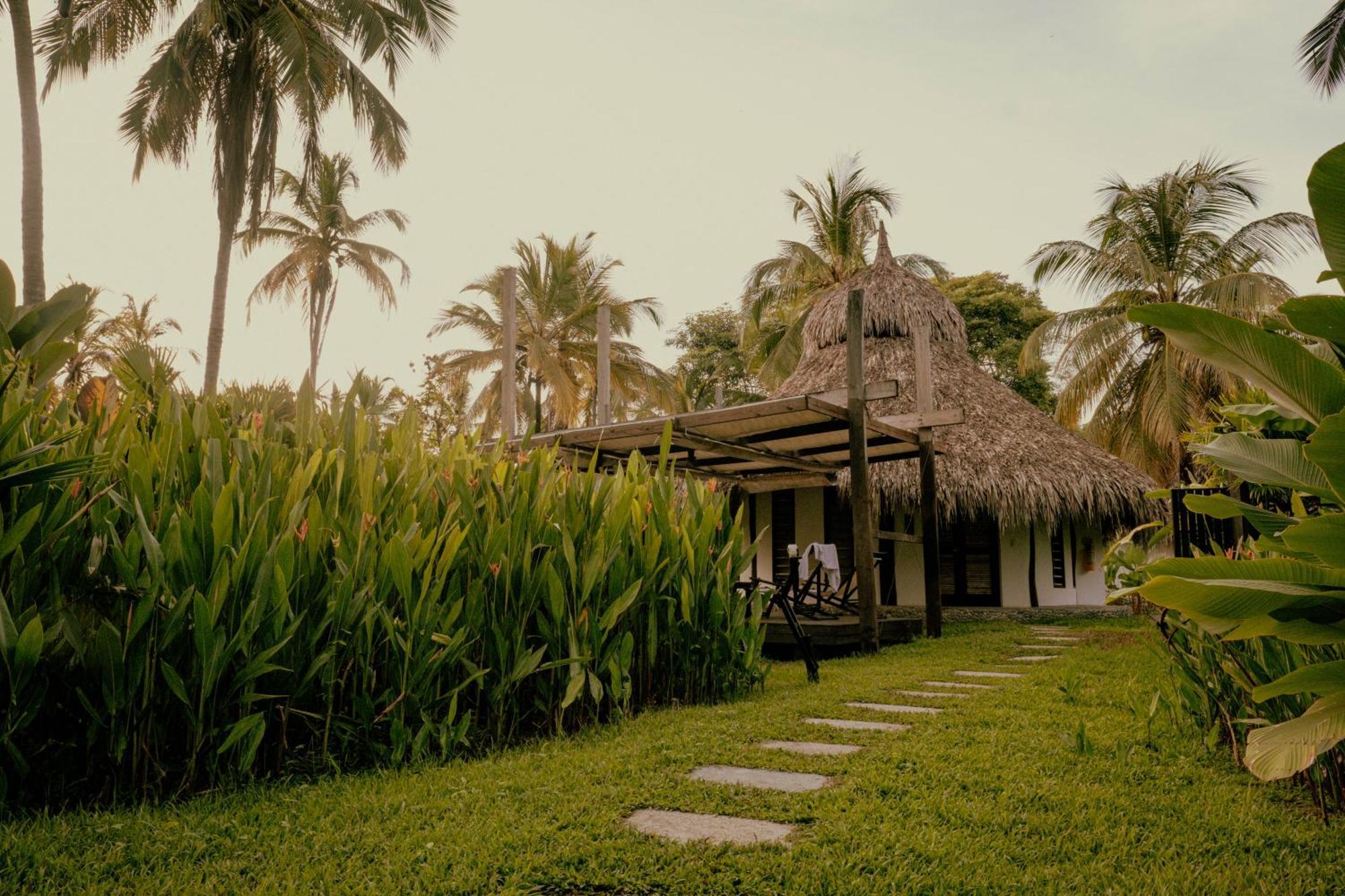 Viajero Tayrona Hostel & Ecohabs Buritaca Extérieur photo