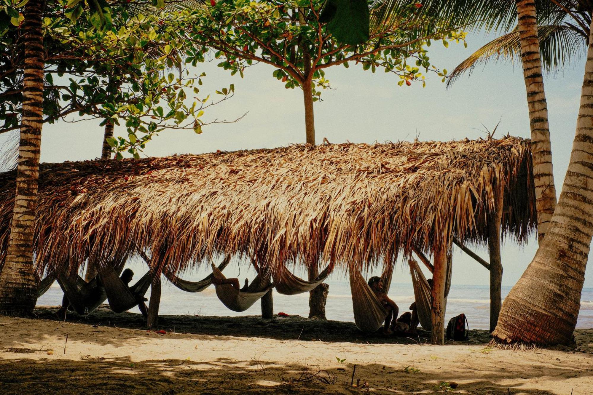 Viajero Tayrona Hostel & Ecohabs Buritaca Extérieur photo
